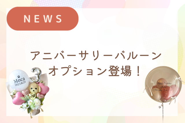 大切な記念日を彩る「アニバーサリーバルーン」オプションが登場！
